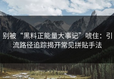 别被“黑料正能量大事记”唬住：引流路径追踪揭开常见拼贴手法