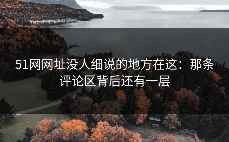 51网网址没人细说的地方在这：那条评论区背后还有一层
