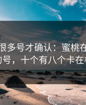 我翻了很多号才确认：蜜桃在线上不去的号，十个有八个卡在标题
