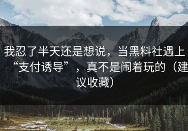 我忍了半天还是想说，当黑料社遇上“支付诱导”，真不是闹着玩的（建议收藏）