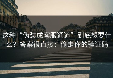 这种“伪装成客服通道”到底想要什么？答案很直接：偷走你的验证码