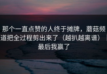 那个一直点赞的人终于摊牌，蘑菇频道把全过程剪出来了（越扒越离谱）｜最后我赢了