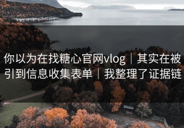 你以为在找糖心官网vlog｜其实在被引到信息收集表单｜我整理了证据链