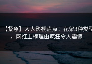 【紧急】人人影视盘点：花絮3种类型，网红上榜理由疯狂令人震惊
